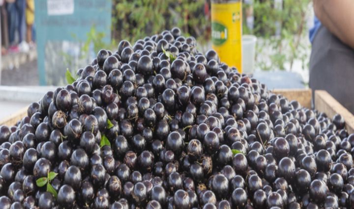 Imagem de Derivados de Jabuticaba Sabará